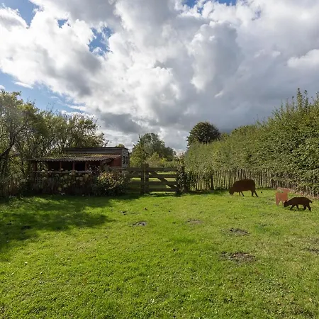 Reethus Koldenbuettel *